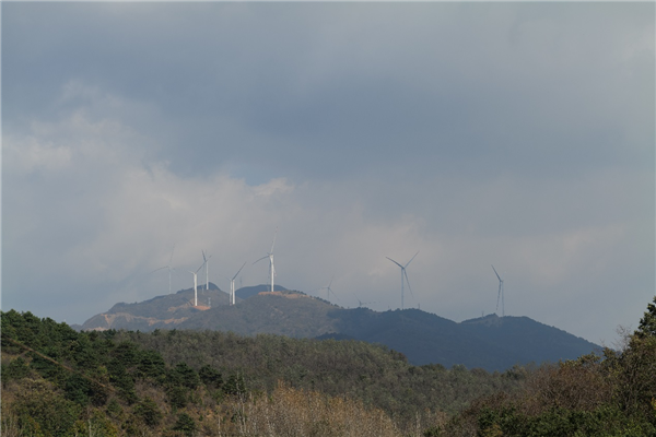 榴莲APP在线观看风采——2021年TST秋游记