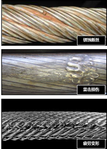 榴莲视频下载大全