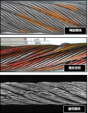 榴莲视频下载大全