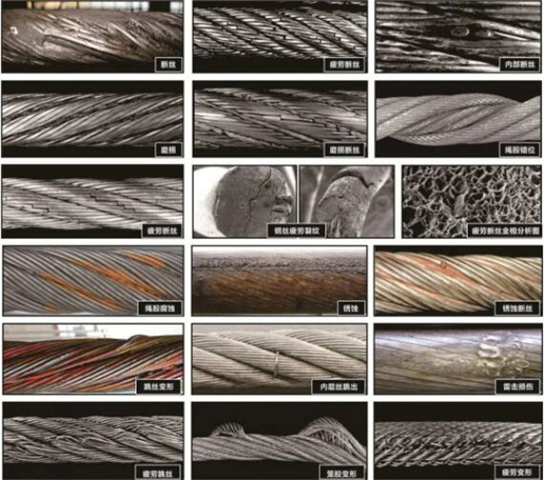 榴莲视频下载大全